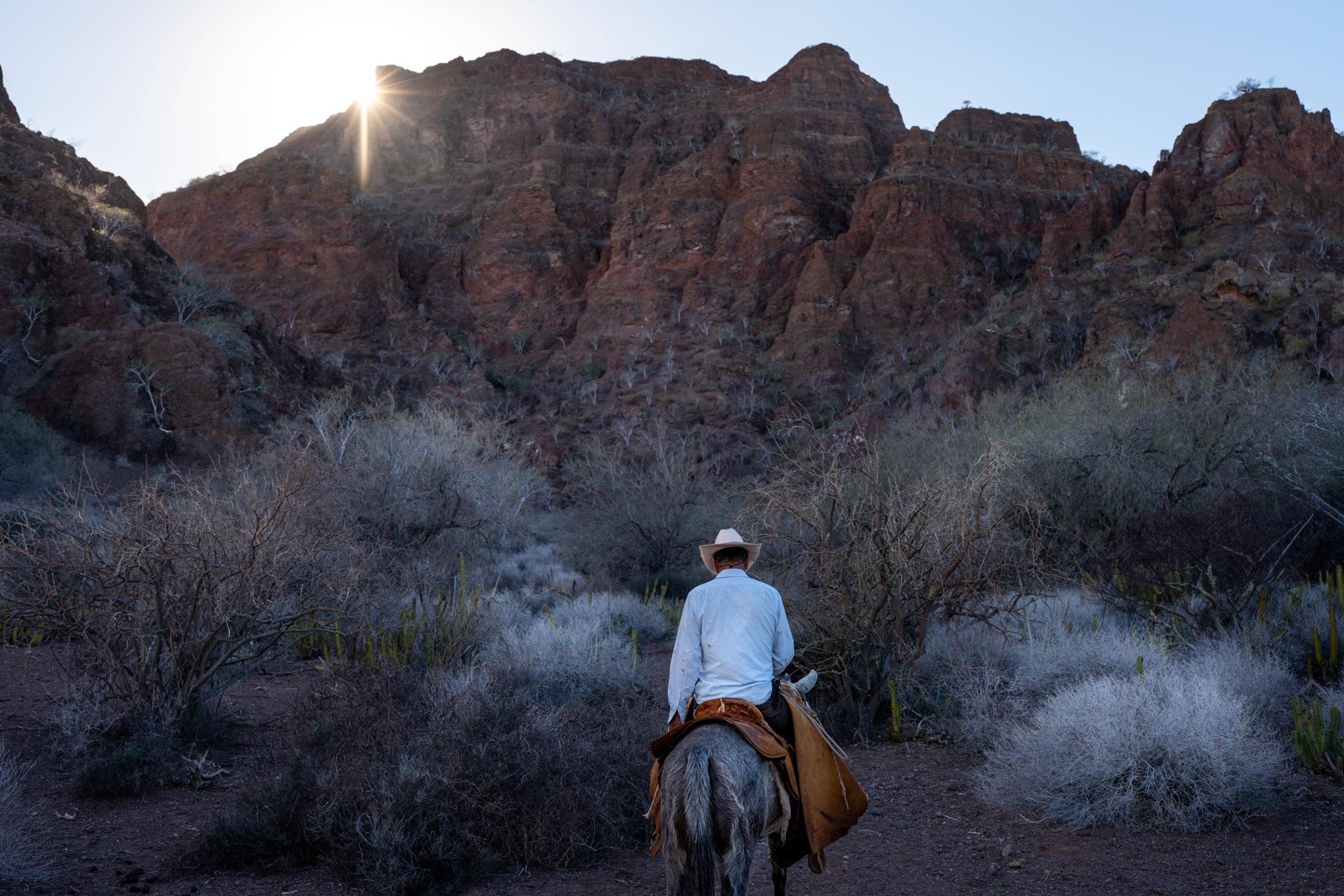 Wider project Until We Are Gone - Alejo Romero rides his horse to check out the water hole...