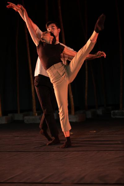 Introspection by Ballet De Barcelona -   
