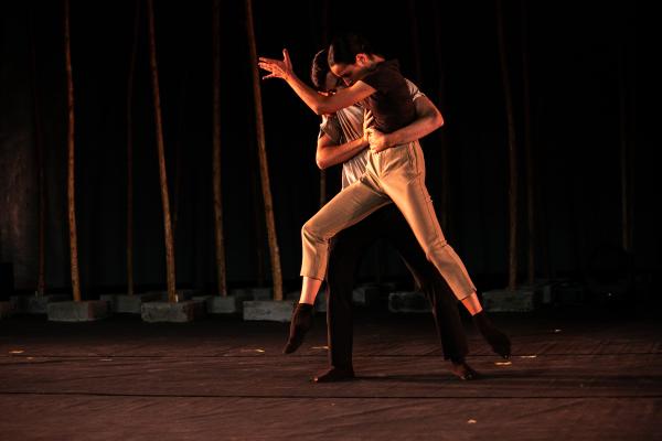 Introspection by Ballet De Barcelona -   
