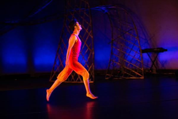 Image from FROM THE ASHES, I RISE_ BALLET de BARCELONA -   