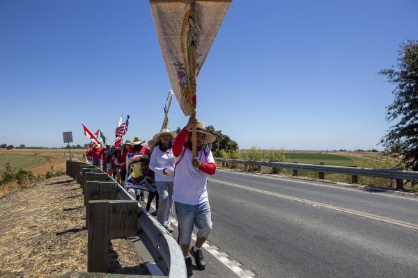 Image from Bay Area Work - United Farm Workers union members and supporters march on...