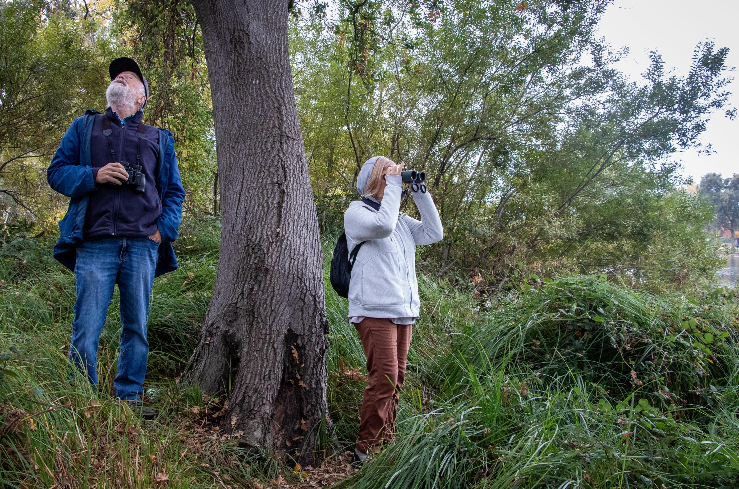 Birders - From left, Howard Higley and Jutta Wiemhoff watch birds...