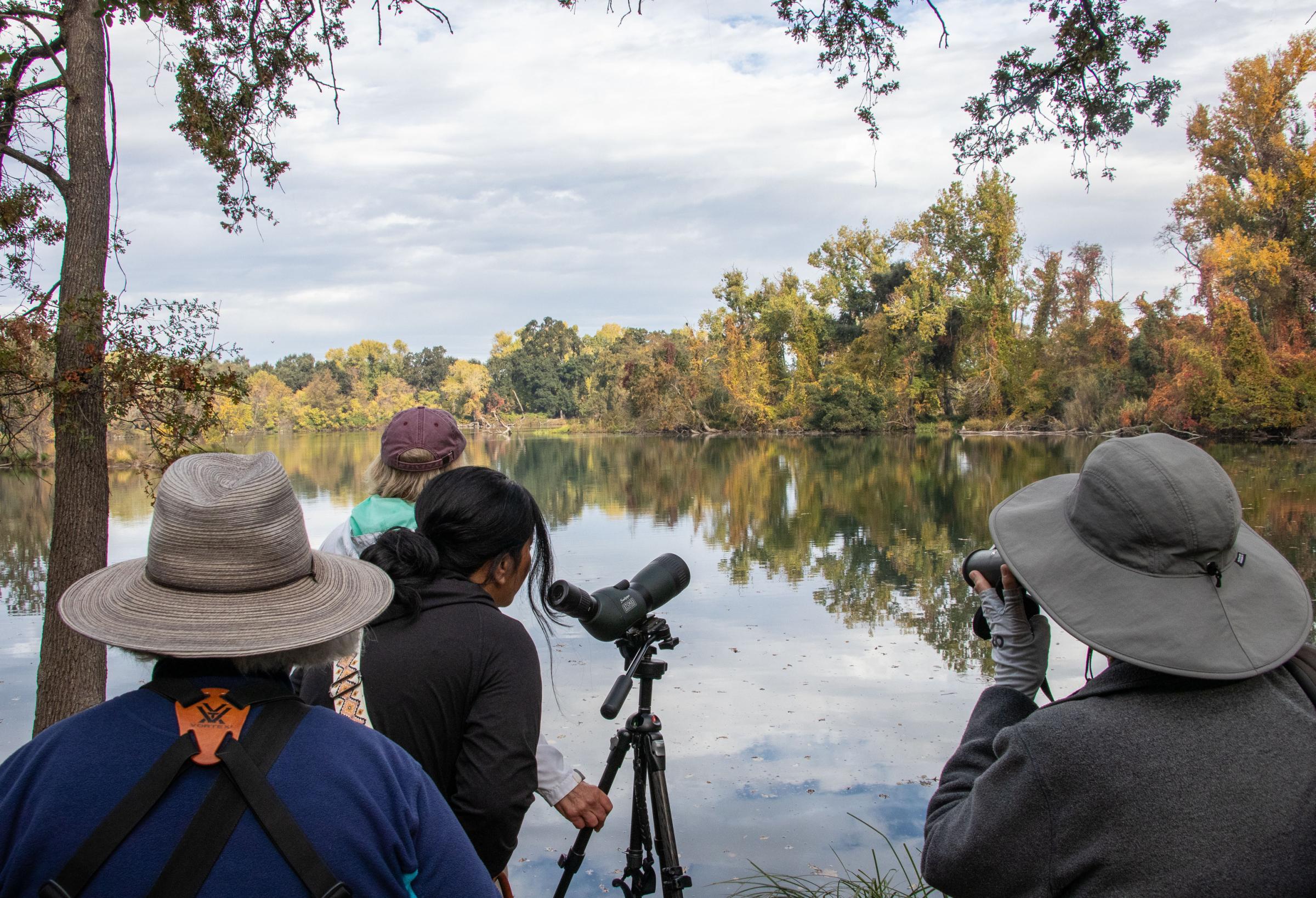 Birders - A group with the Mt. Diablo Audubon Society watches birds...