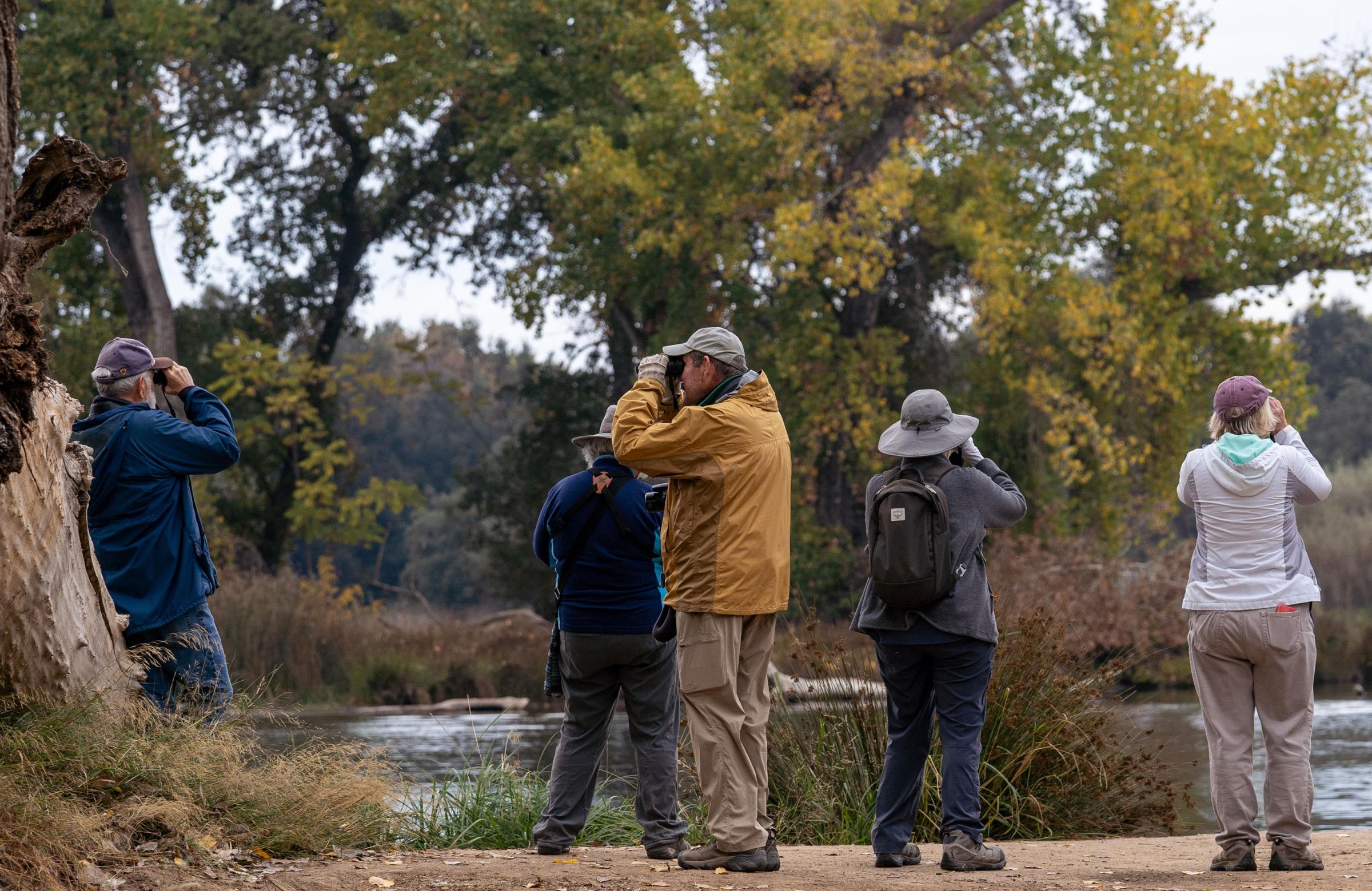 Birders - A group of birdwatchers with Mt. Diablo Audubon Society...