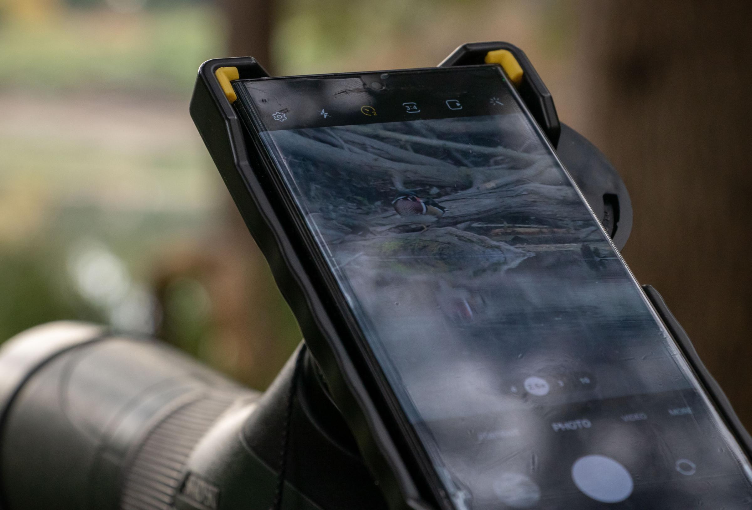 Birders - A Wood Duck is seen on a phone attached to a spotting...