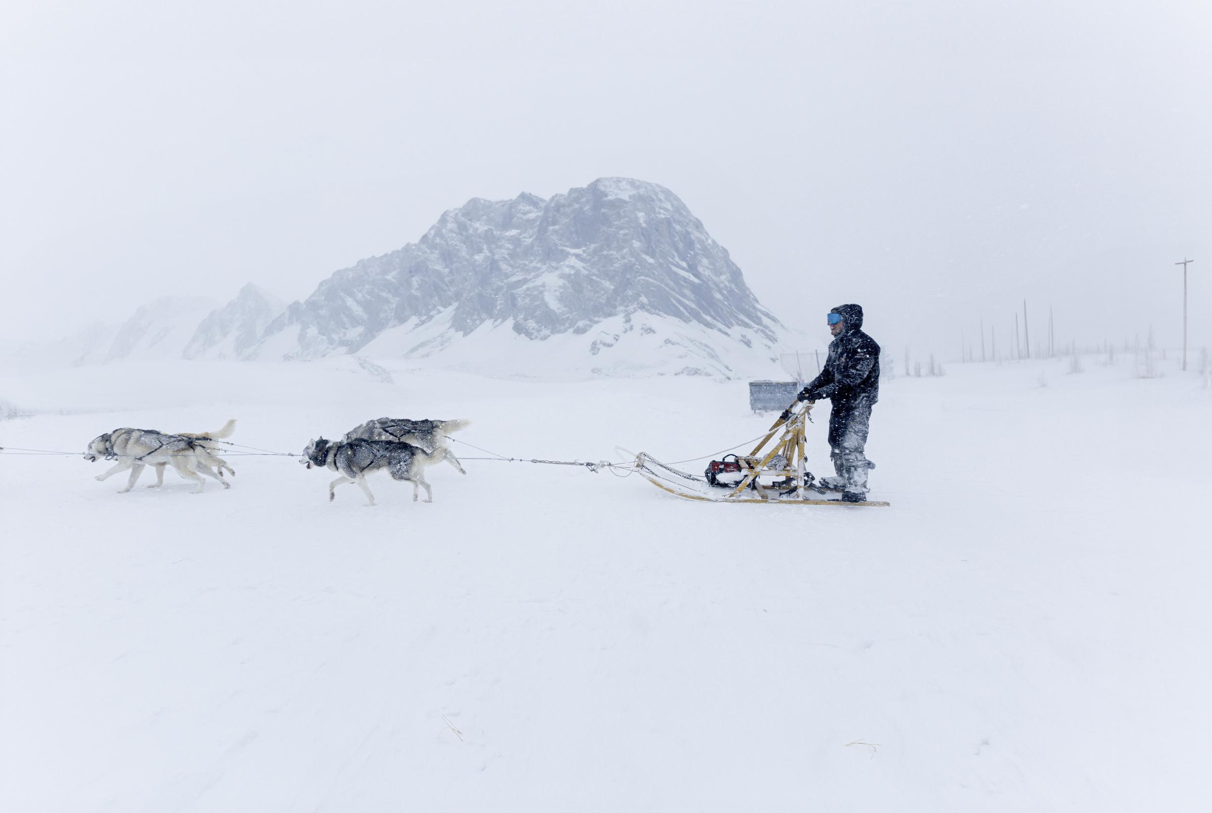 Canada, Profession musher -   