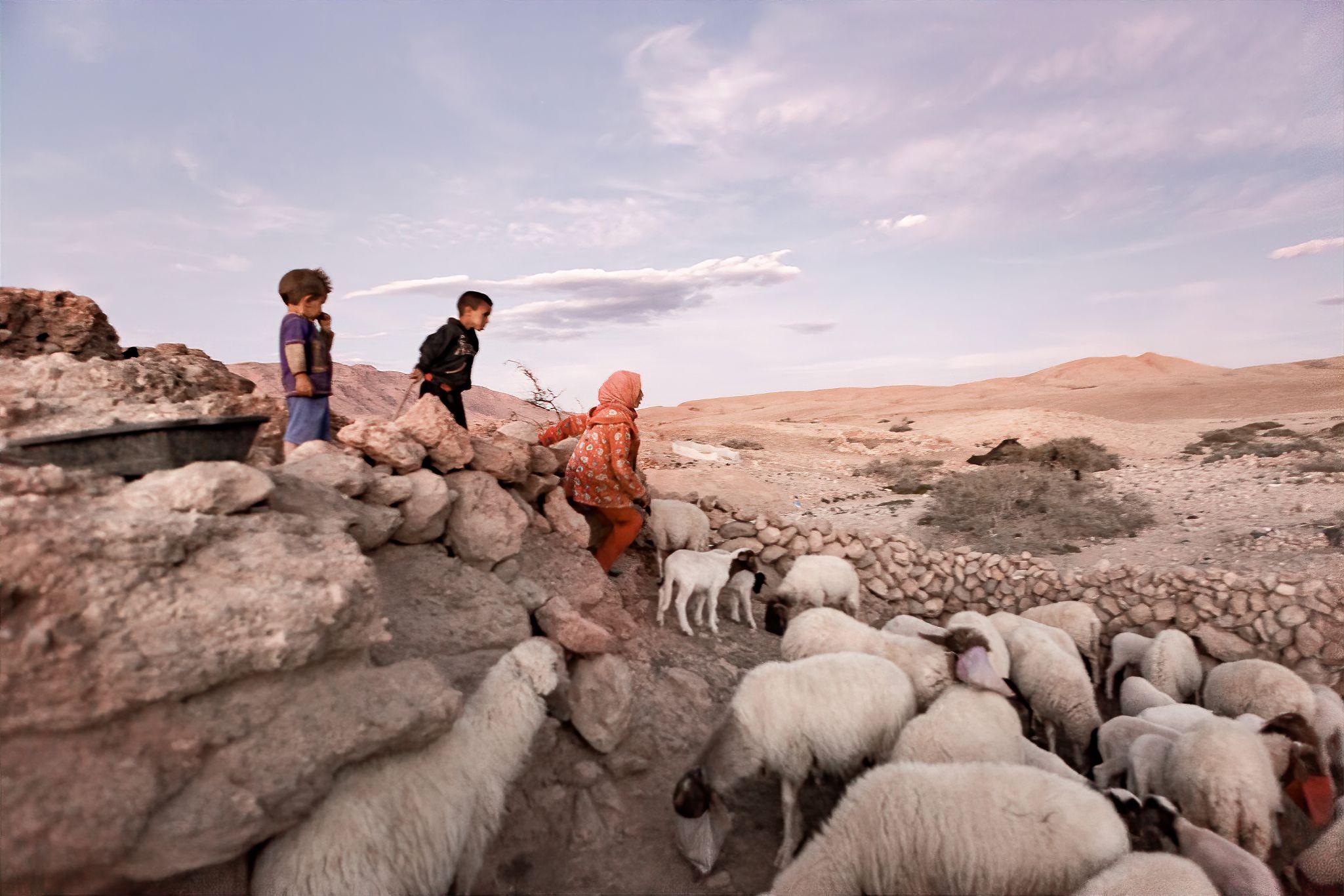 Maroc, les derniers nomades -   