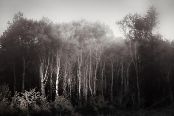 Rick Armstrong | Images