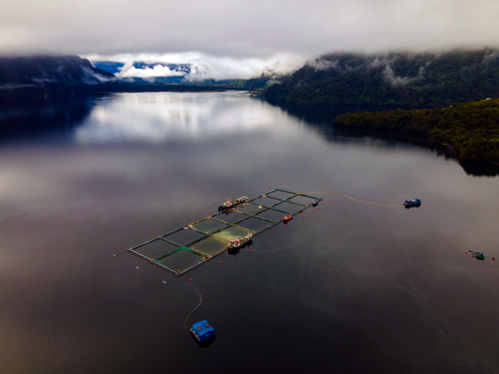 Art and Documentary Photography - Loading 1687896608-1-lead-aerial-comau-fjord-farm-2021-1024x768.png