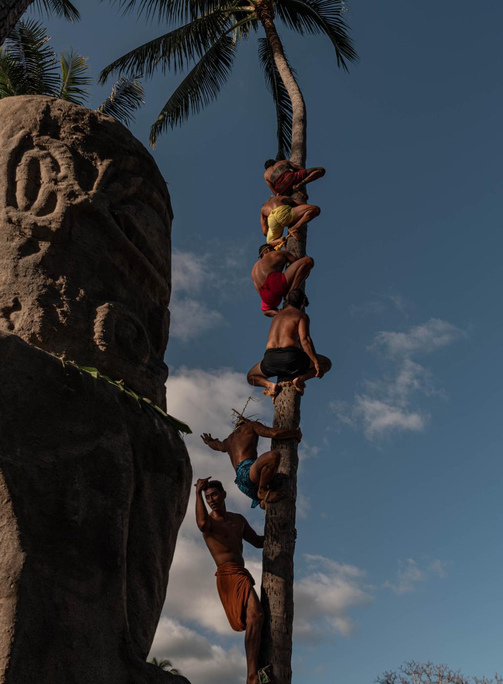 Participants of the coconut tre...m French Polynesia and beyond. 