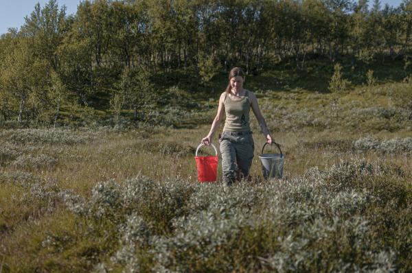 (BE)Longing - Two Bucket Woman Alvdal Norway