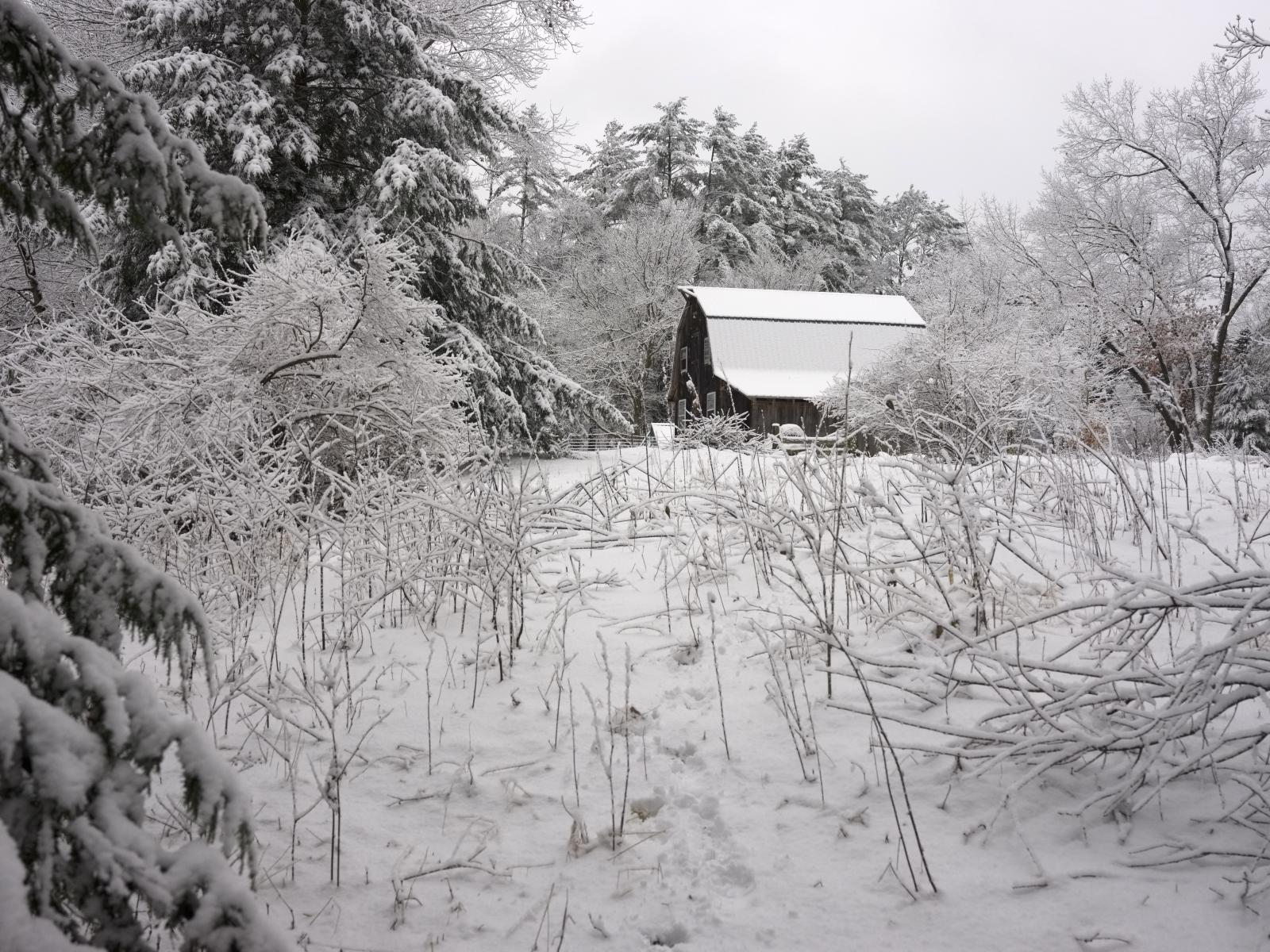 Winter