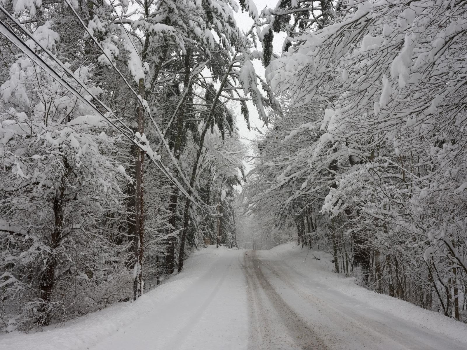Winter