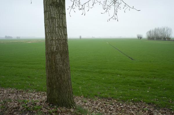 Dutch Polder | Buy this image