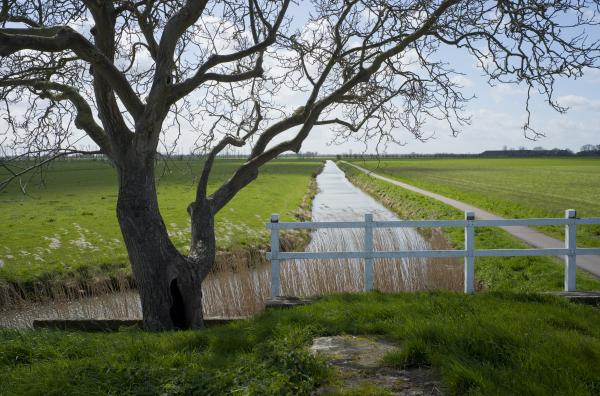 Dutch Polder | Buy this image