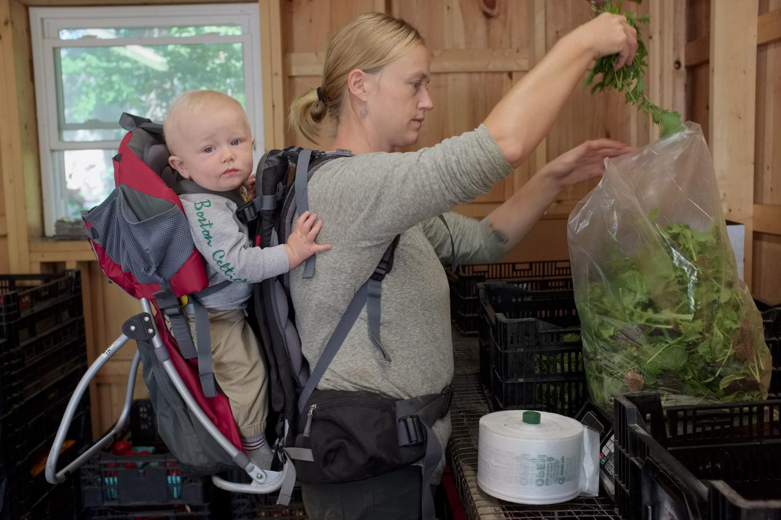 Farming for the Neighbors - Farmer Kirsten Anderson weighs and packs lettuce, while carrying her almost one year old son...