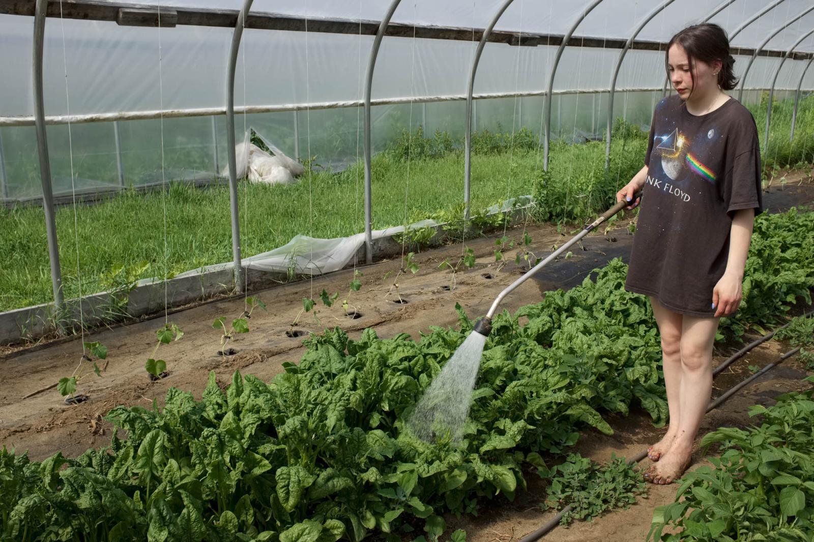 Farming for the Neighbors - Sarah (17), daughter of Bruce, waters spinach. She&rsquo;s wearing one of her...