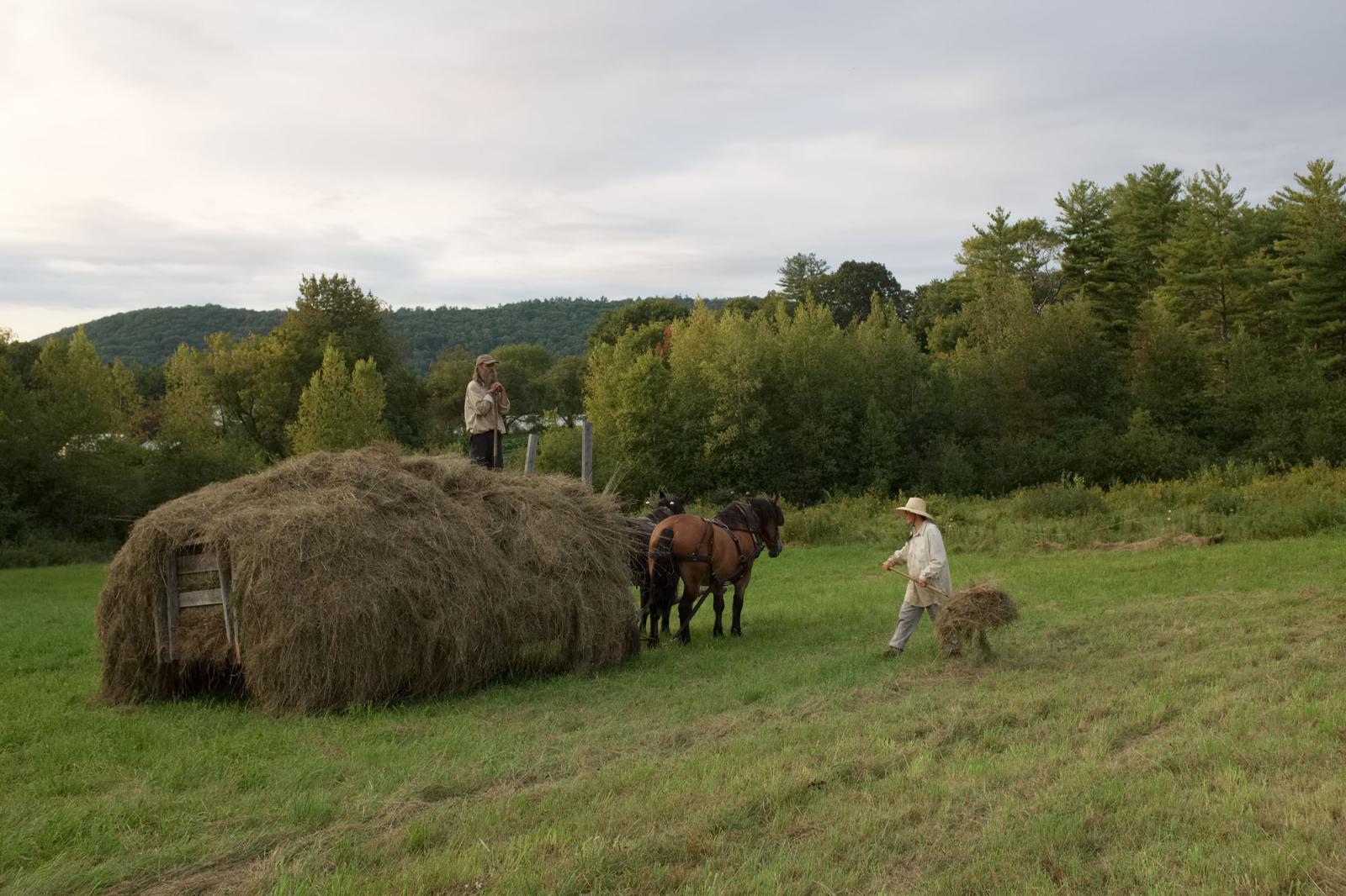 Farming for the Neighbors - Farmers Frank Hunter and Kim Peavey putting up hay on Hillside Springs Farm.  Westmoreland, New...