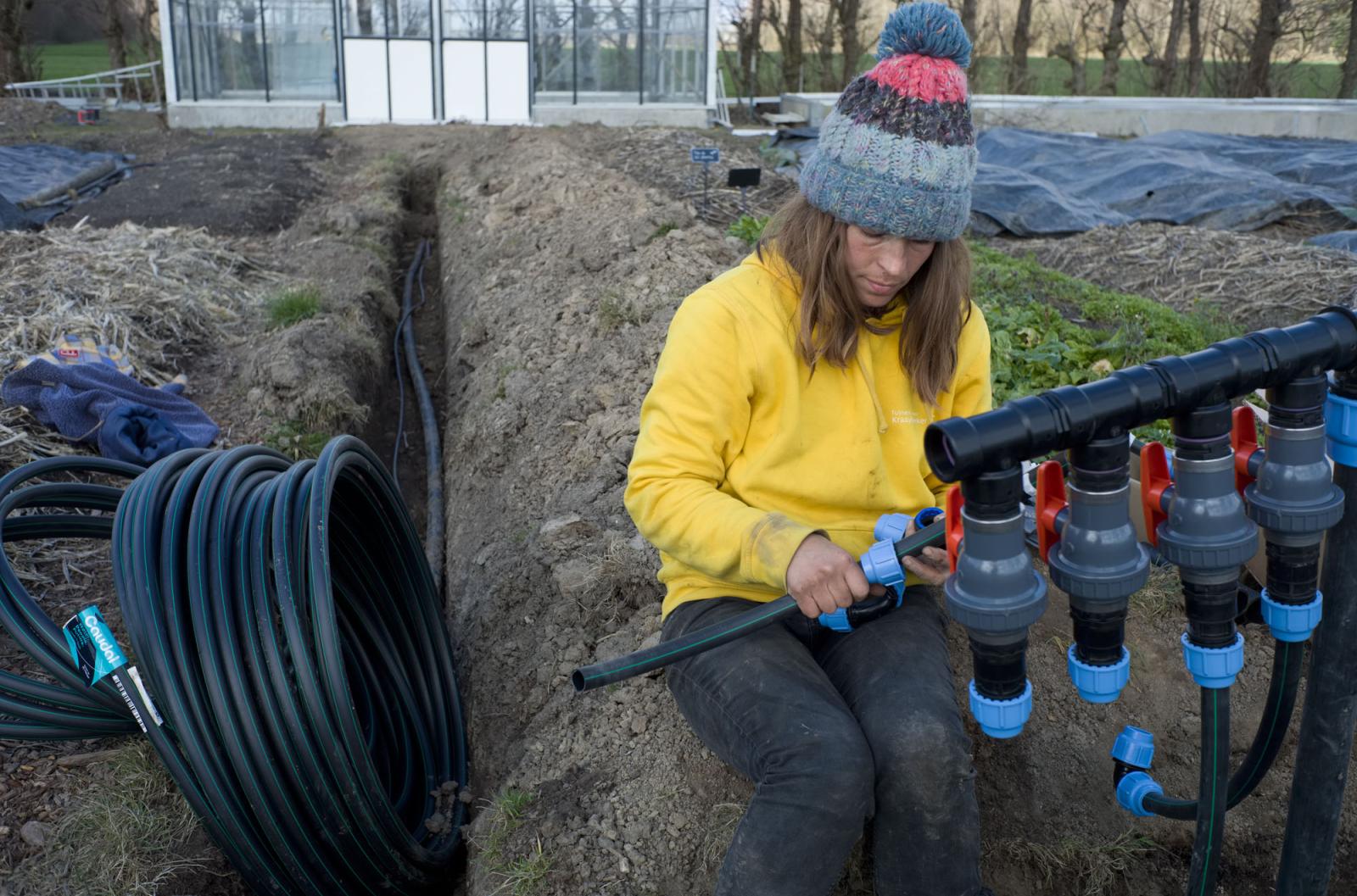 Farming for the Neighbors - Gardener Emma Smeets installs a water supply system for sprinkler and porous-hose irrigation....