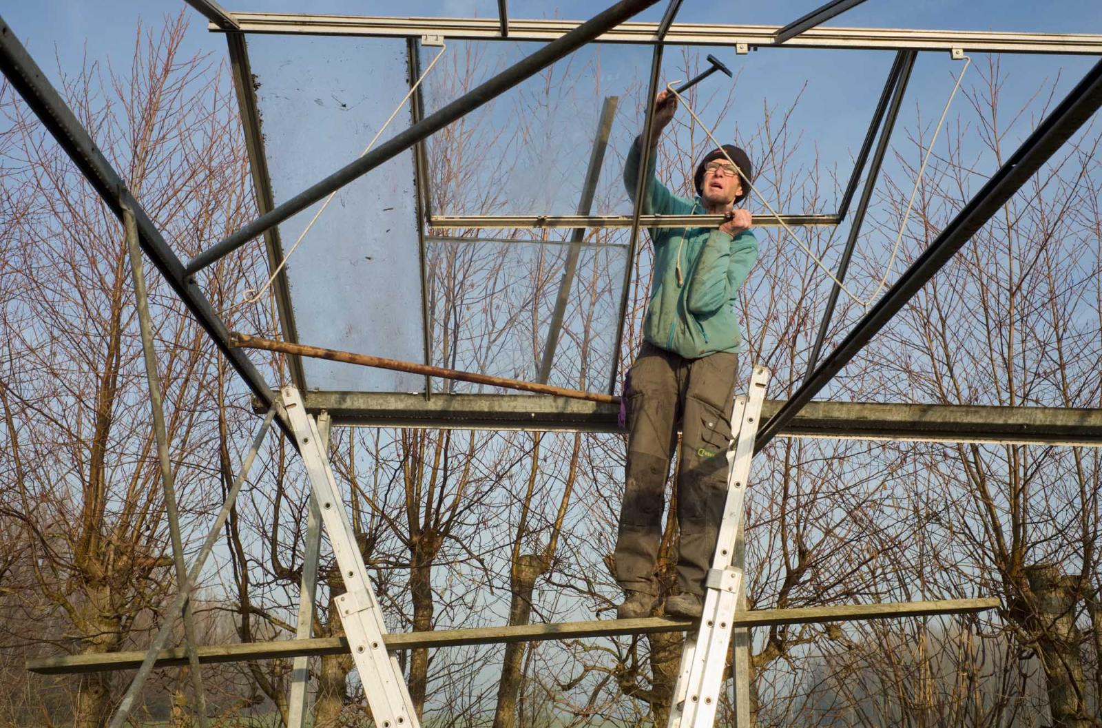Farming for the Neighbors - Mr. Hendriks, 85, builds a glasshouse in the vegetable garden.  Linschoten, The Netherlands....