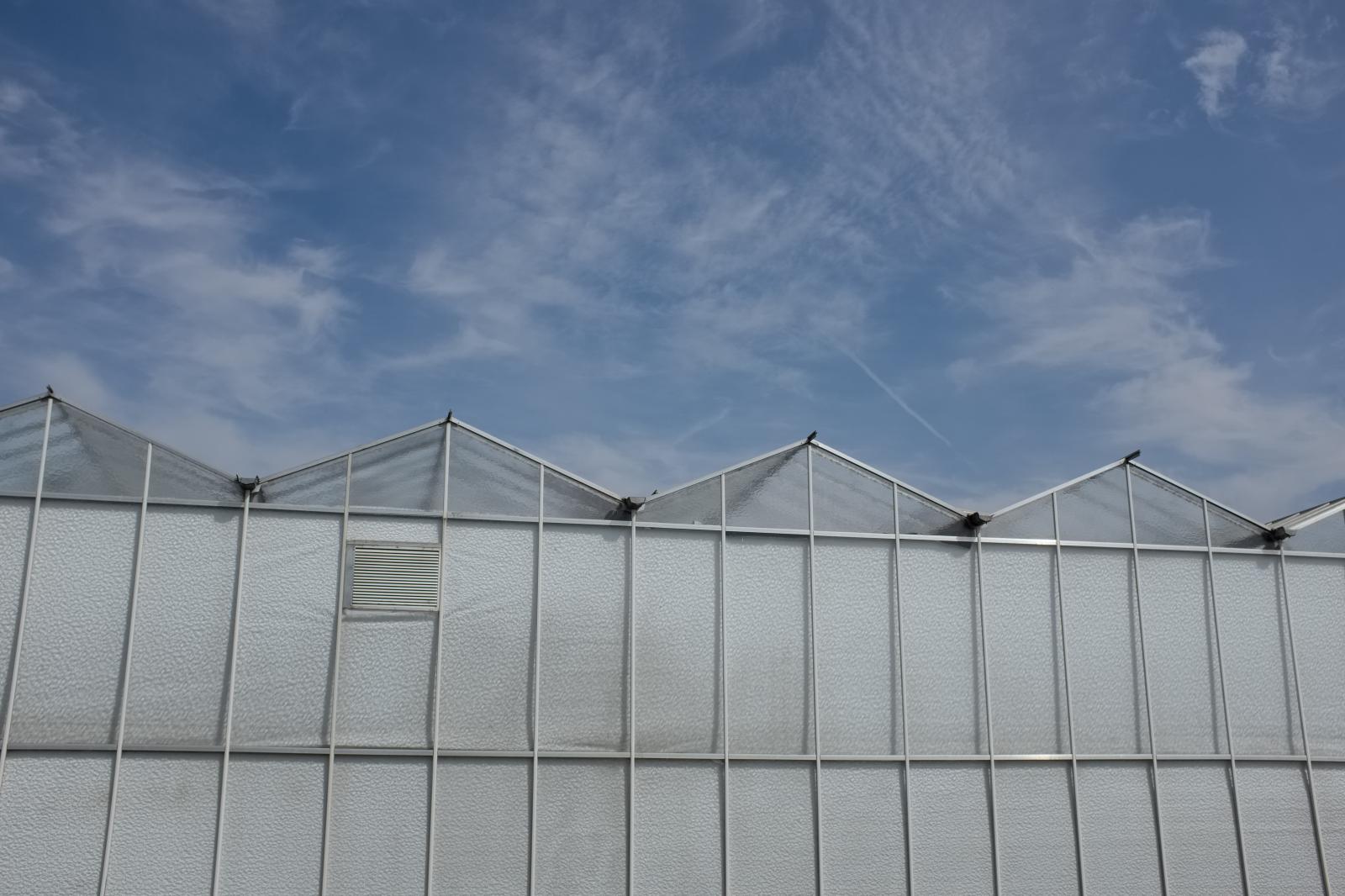 Greenhouse | Buy this image