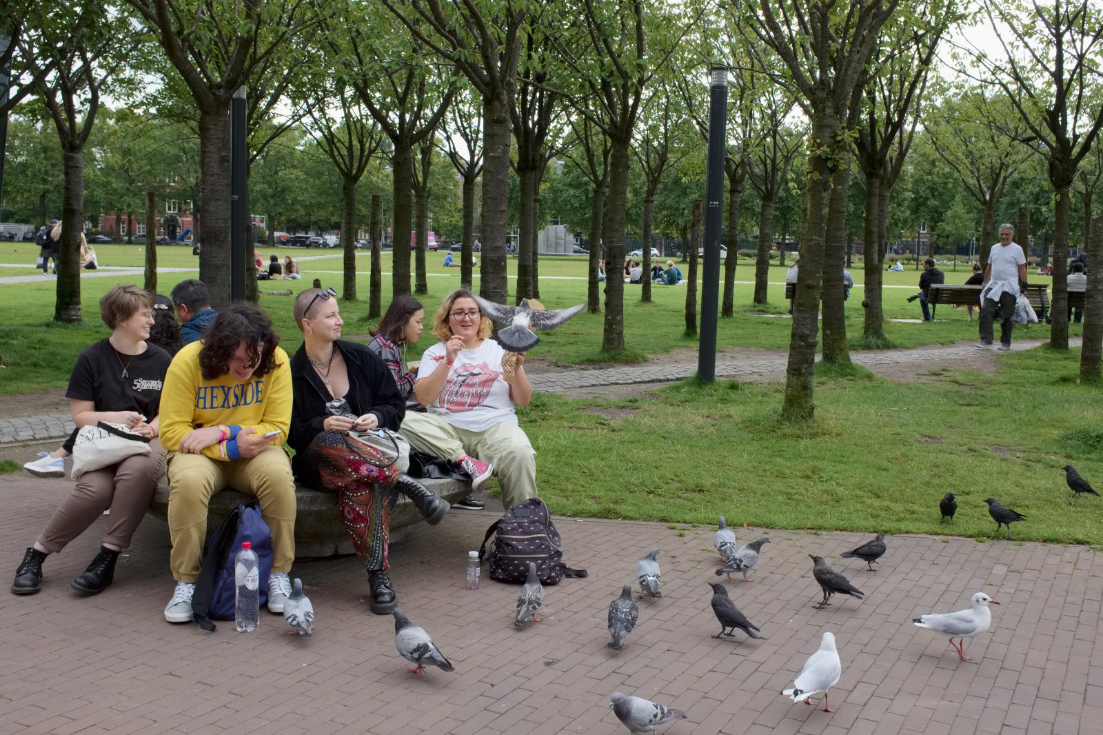 Feeding Birds