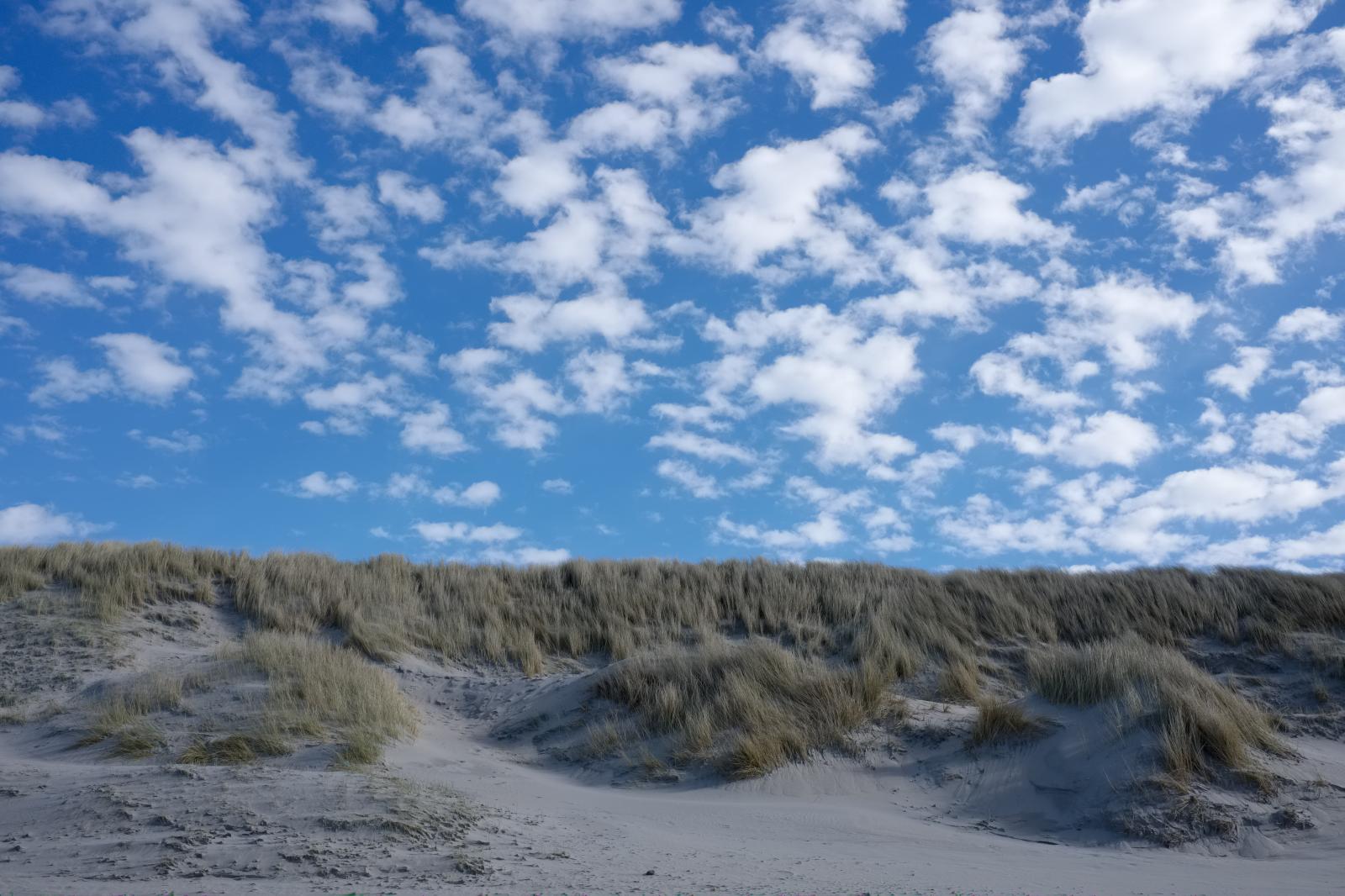 Dunes and Marram Grass | Buy this image