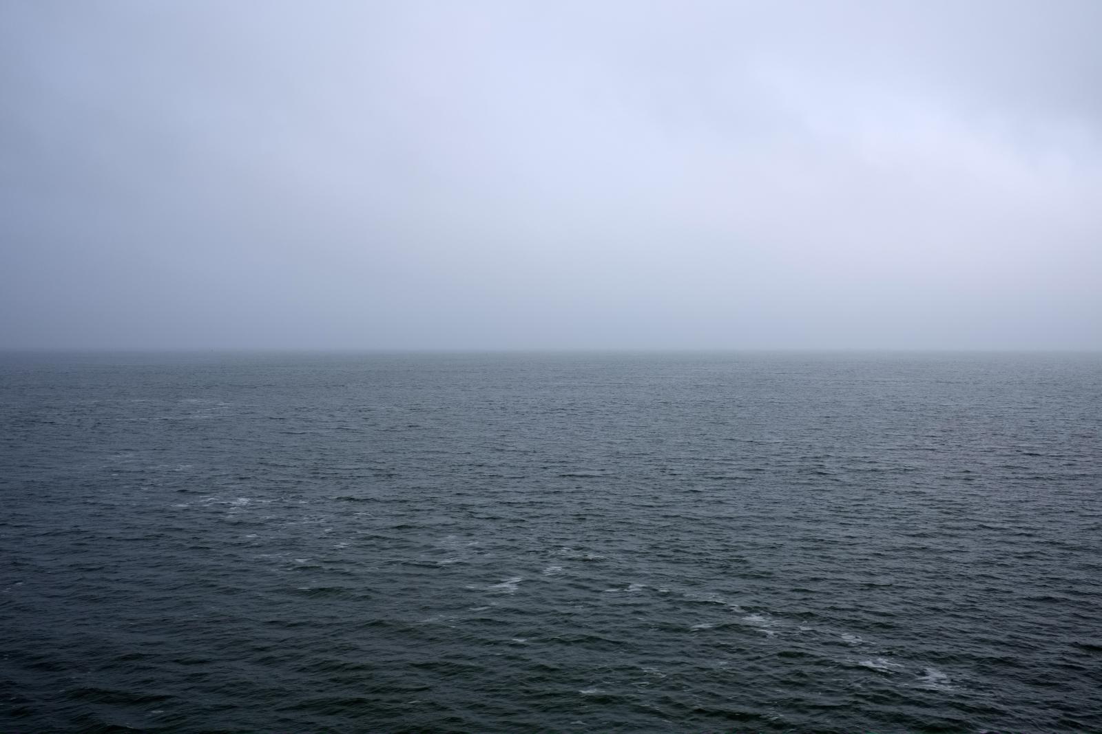 Wadden Sea | Buy this image