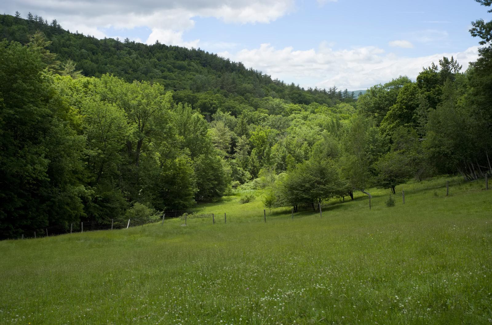 Green Mountains
