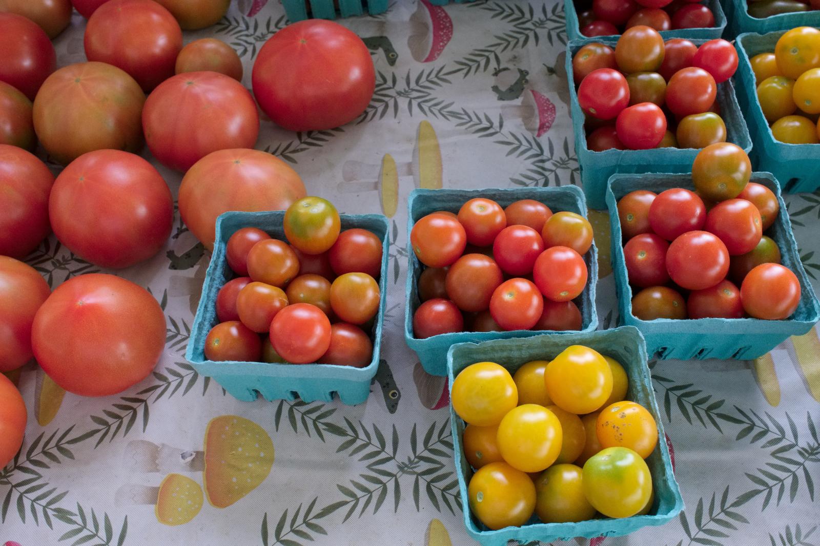 Tomatoes