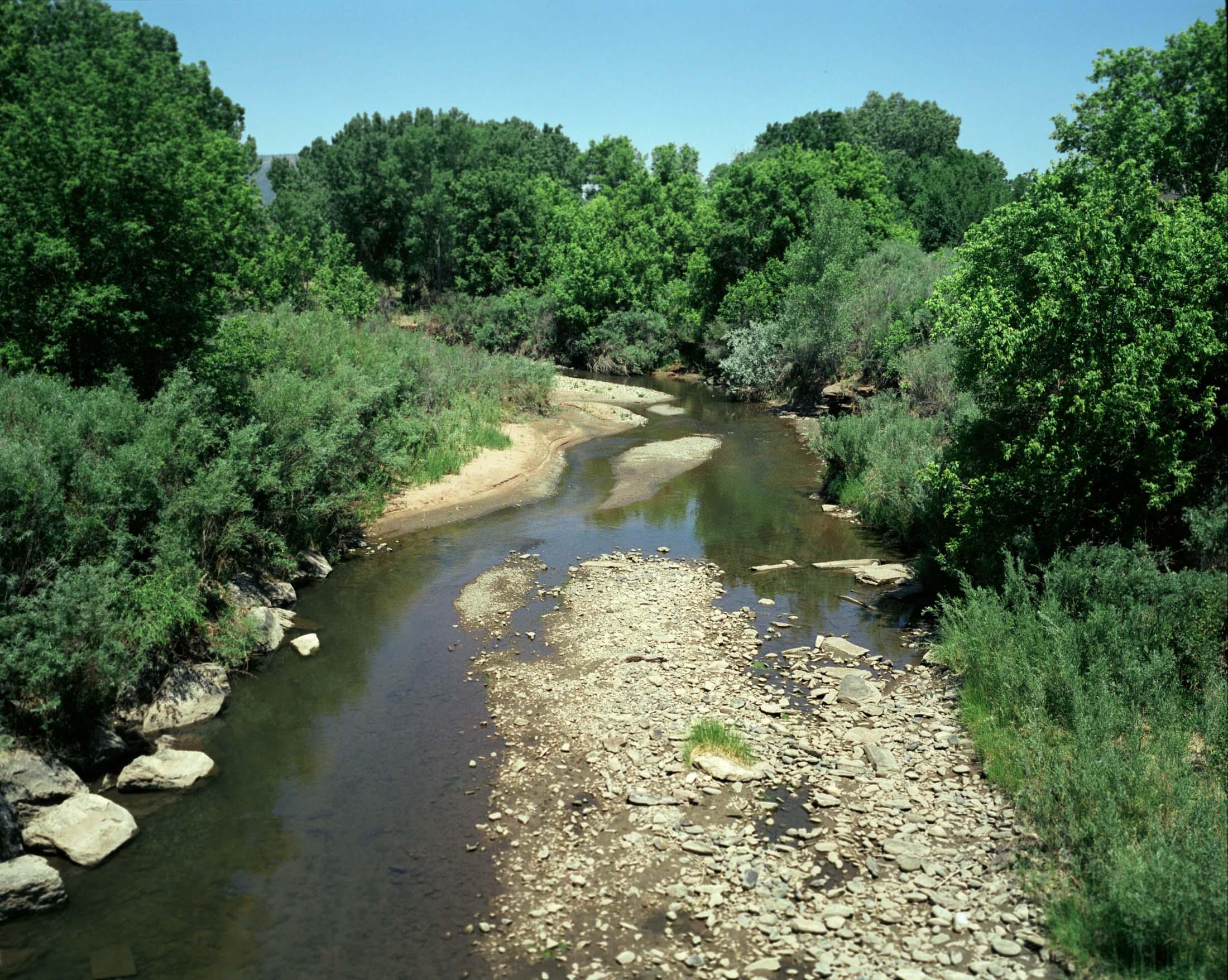 Precious Stream Through a Dry Landscape