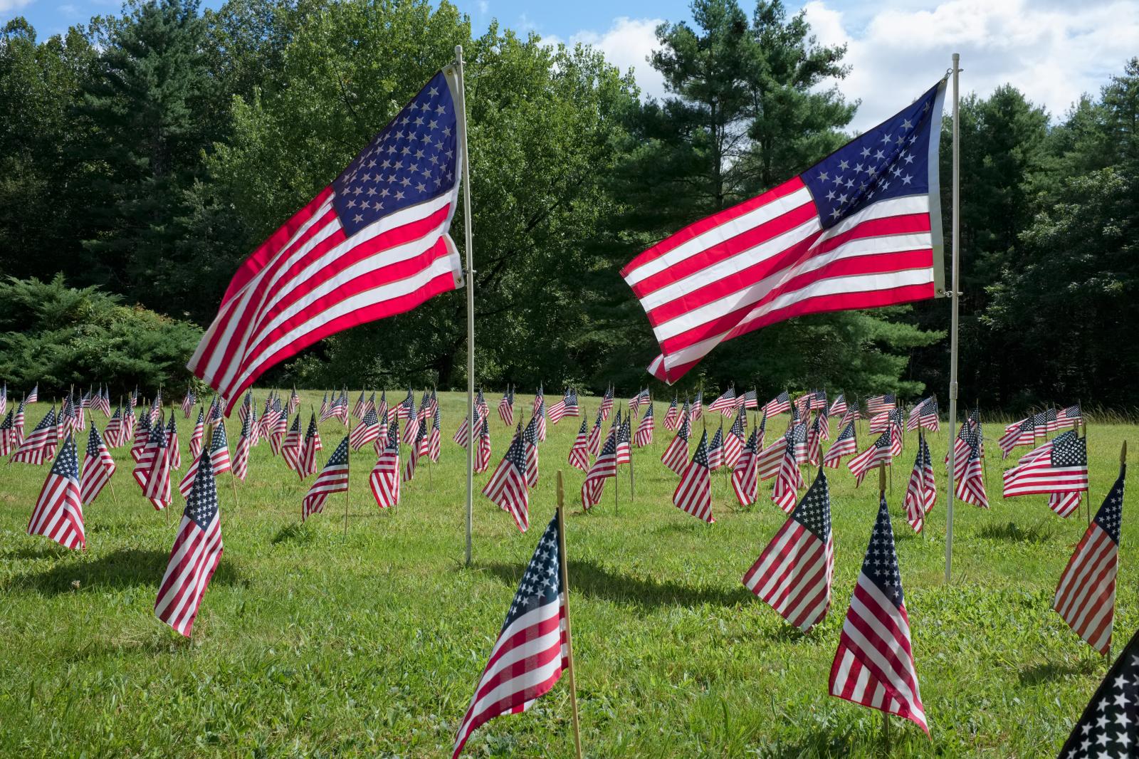 Stars and Stripes