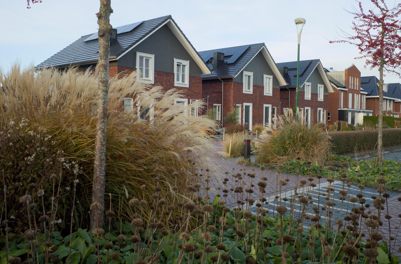 Housing in the Netherlands | Buy this image