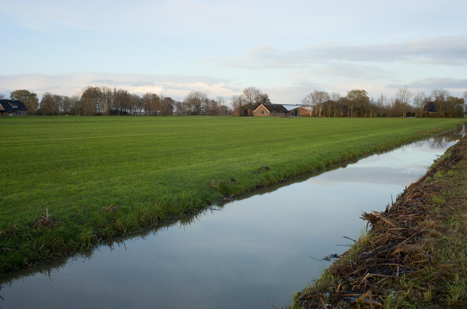 Polder Landscape | Buy this image