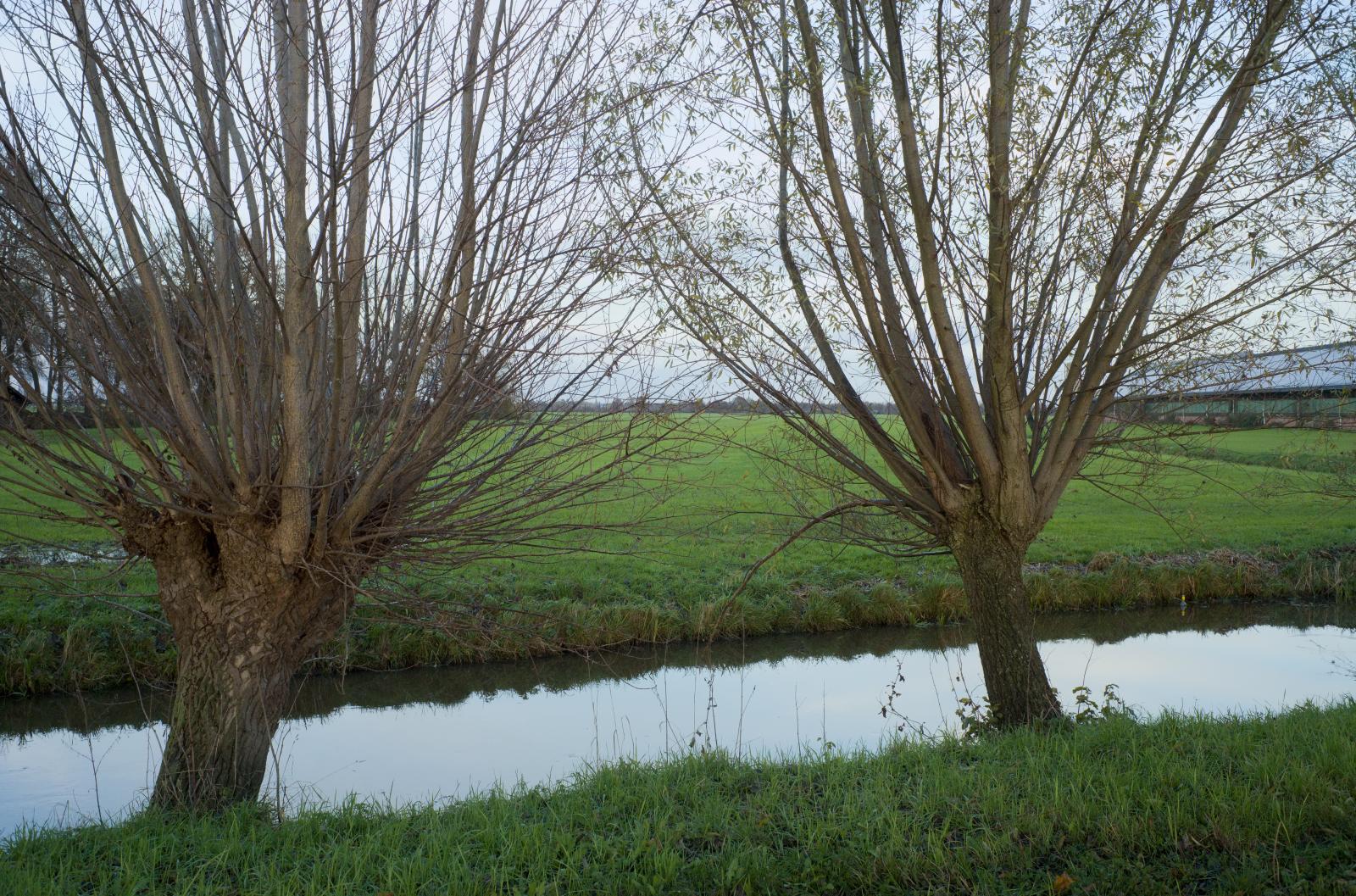 Polder Landscape | Buy this image