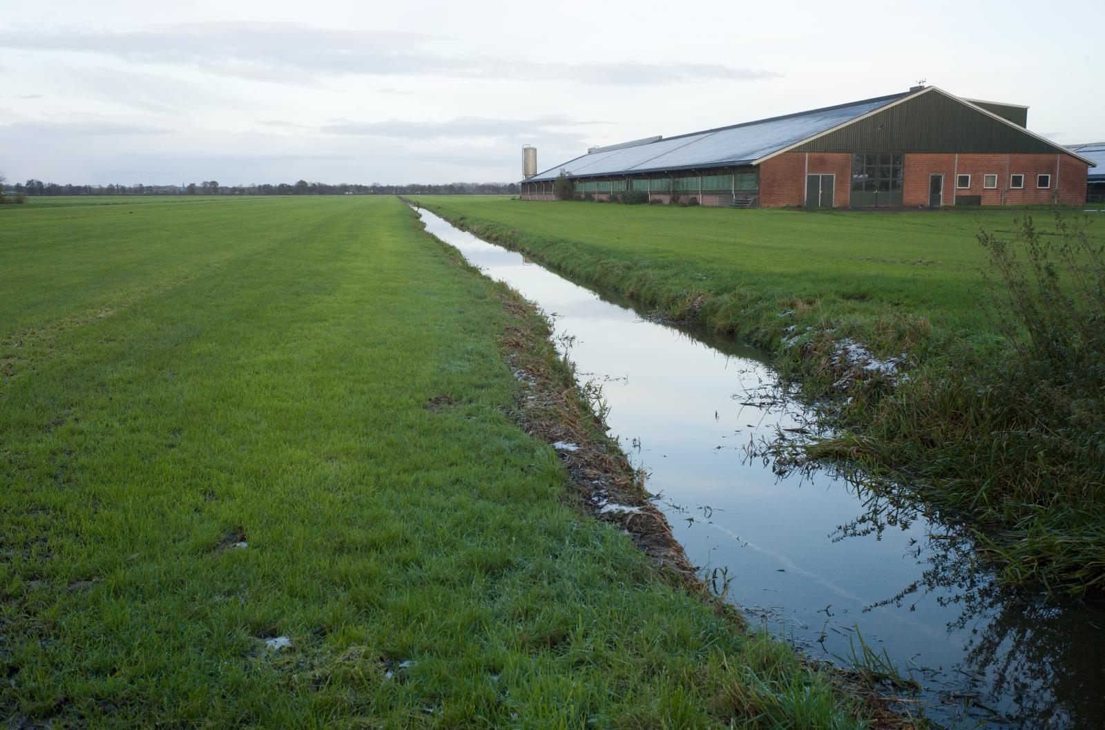 Polder Landscape | Buy this image