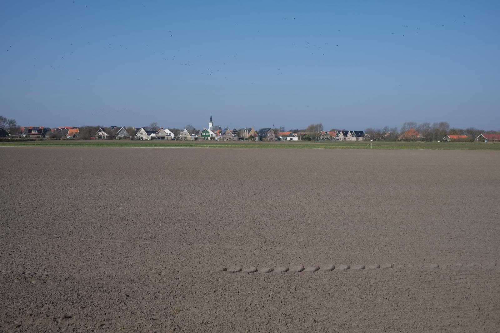 Farming in the Netherlands | Buy this image
