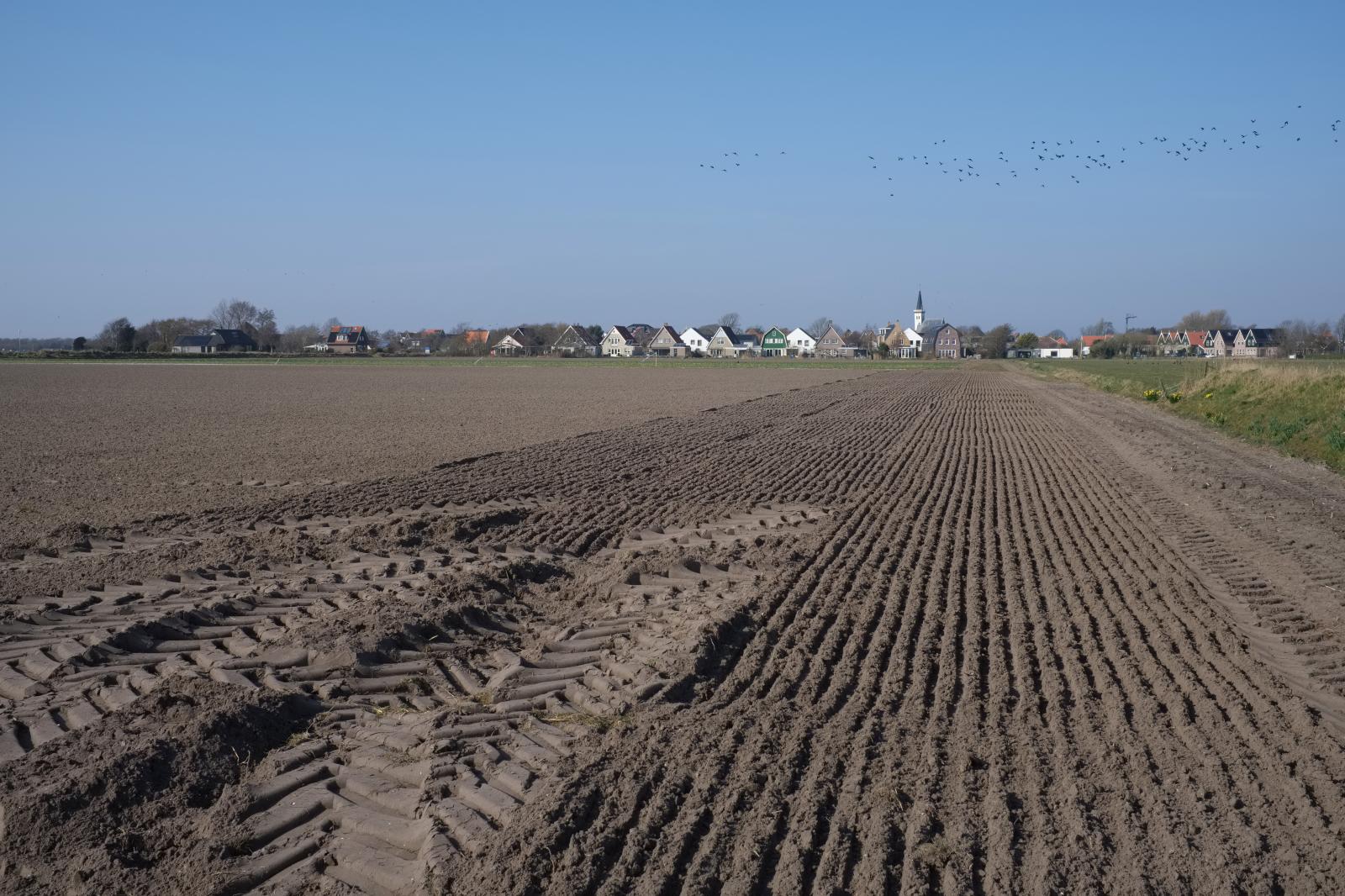 Farming in the Netherlands | Buy this image