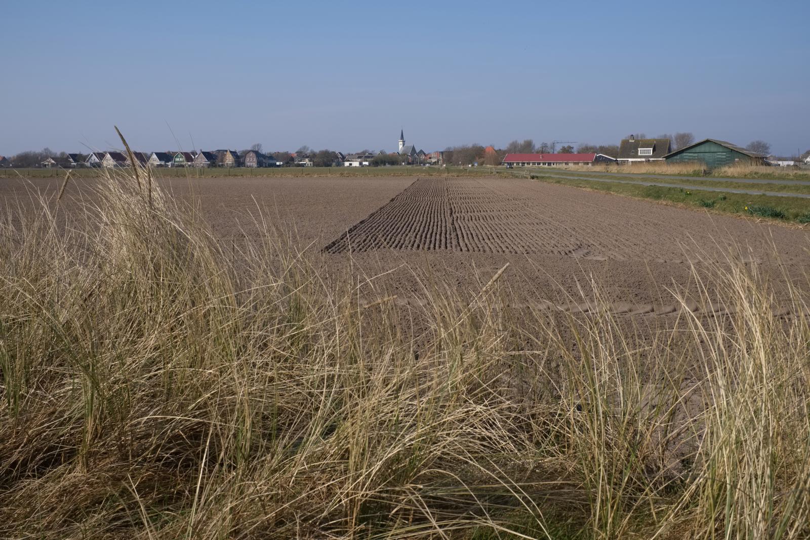 Farming in the Netherlands | Buy this image