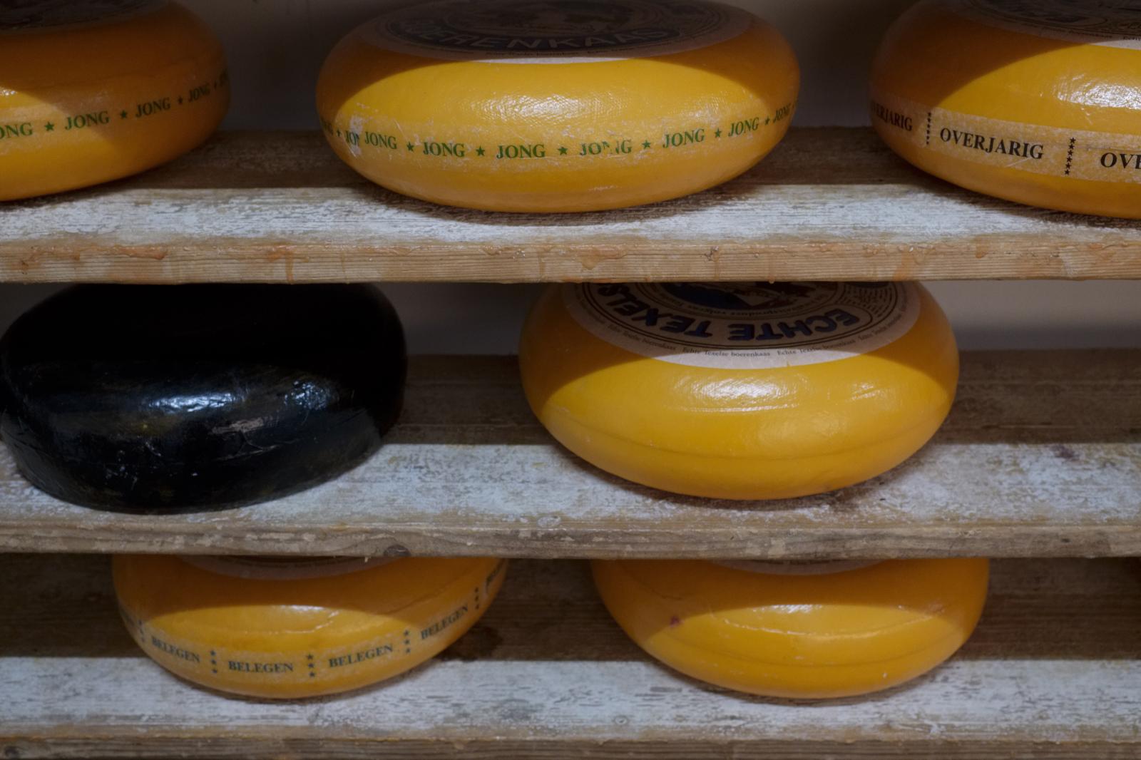 Dutch Cheese | Buy this image