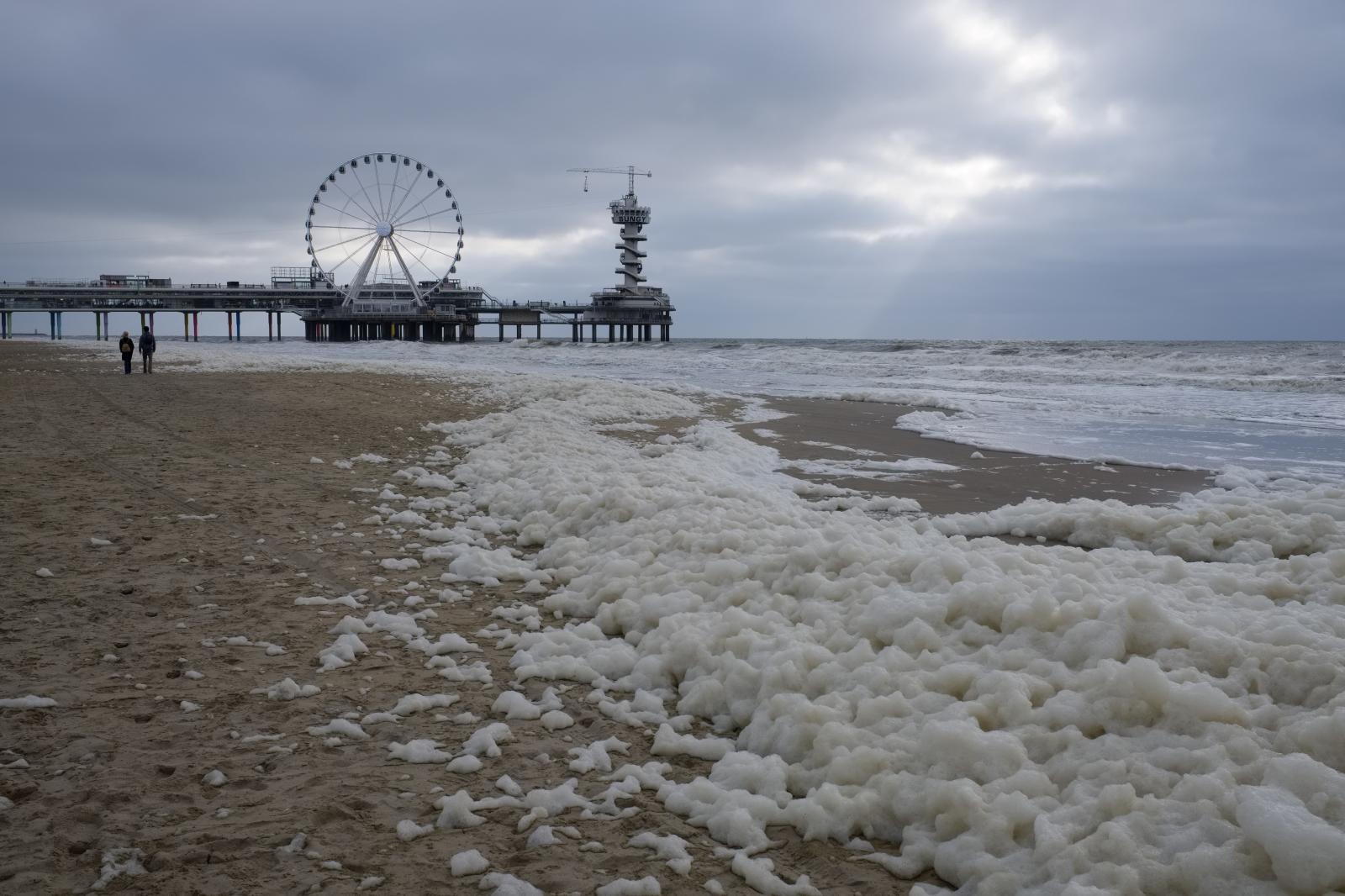 North Sea Beach and Pier in the Netherlands | Buy this image