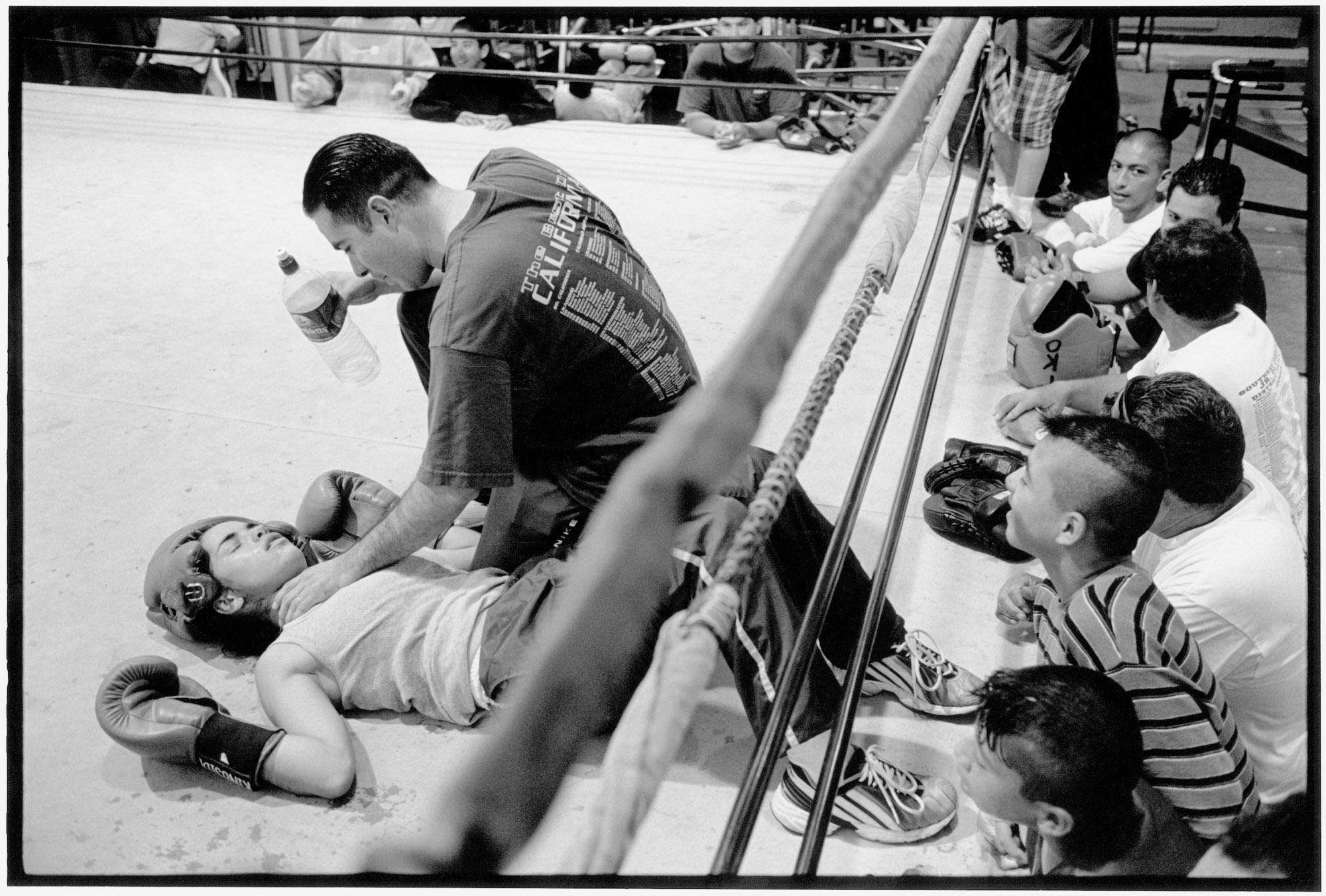 Boxing Against Gangs