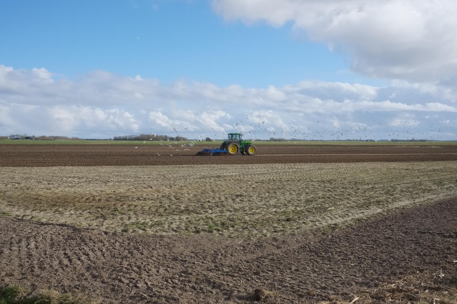  Plowing a Field | Buy this image
