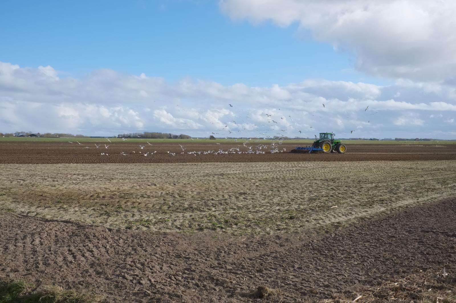 Plowing a Field | Buy this image