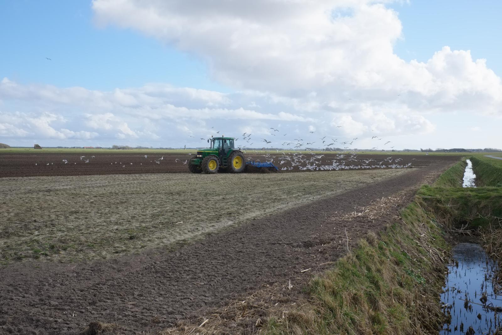 Plowing a Field | Buy this image
