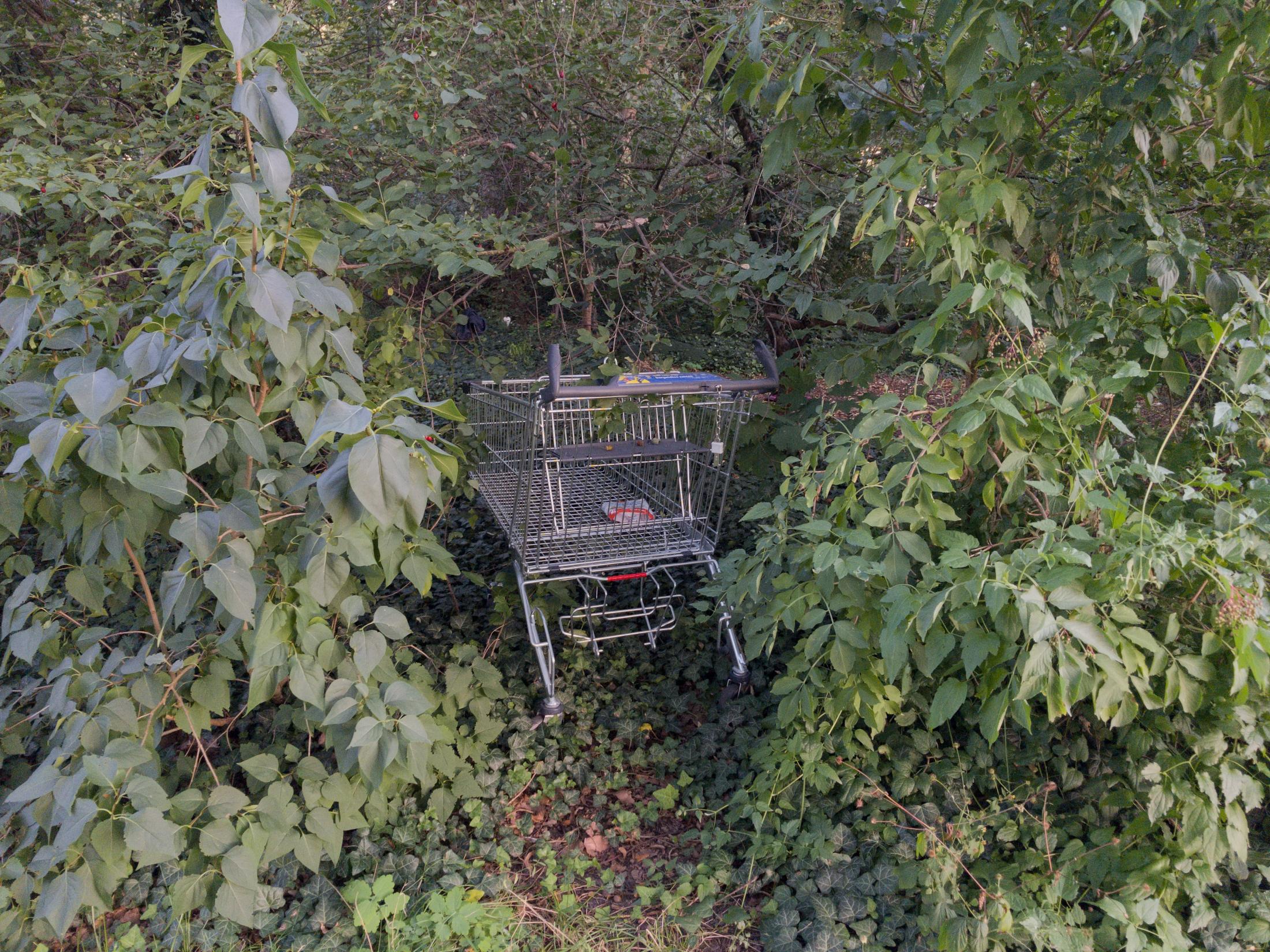 Shopping Cart | Buy this image