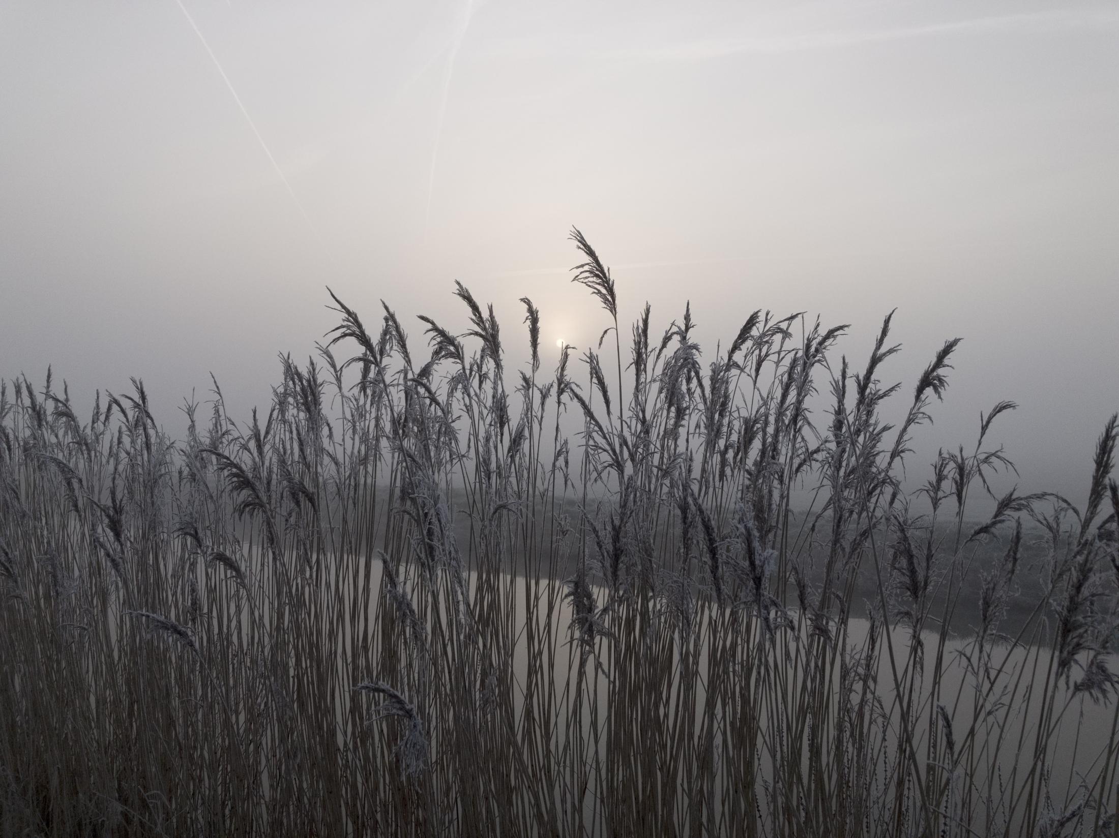 Sunrise | Buy this image