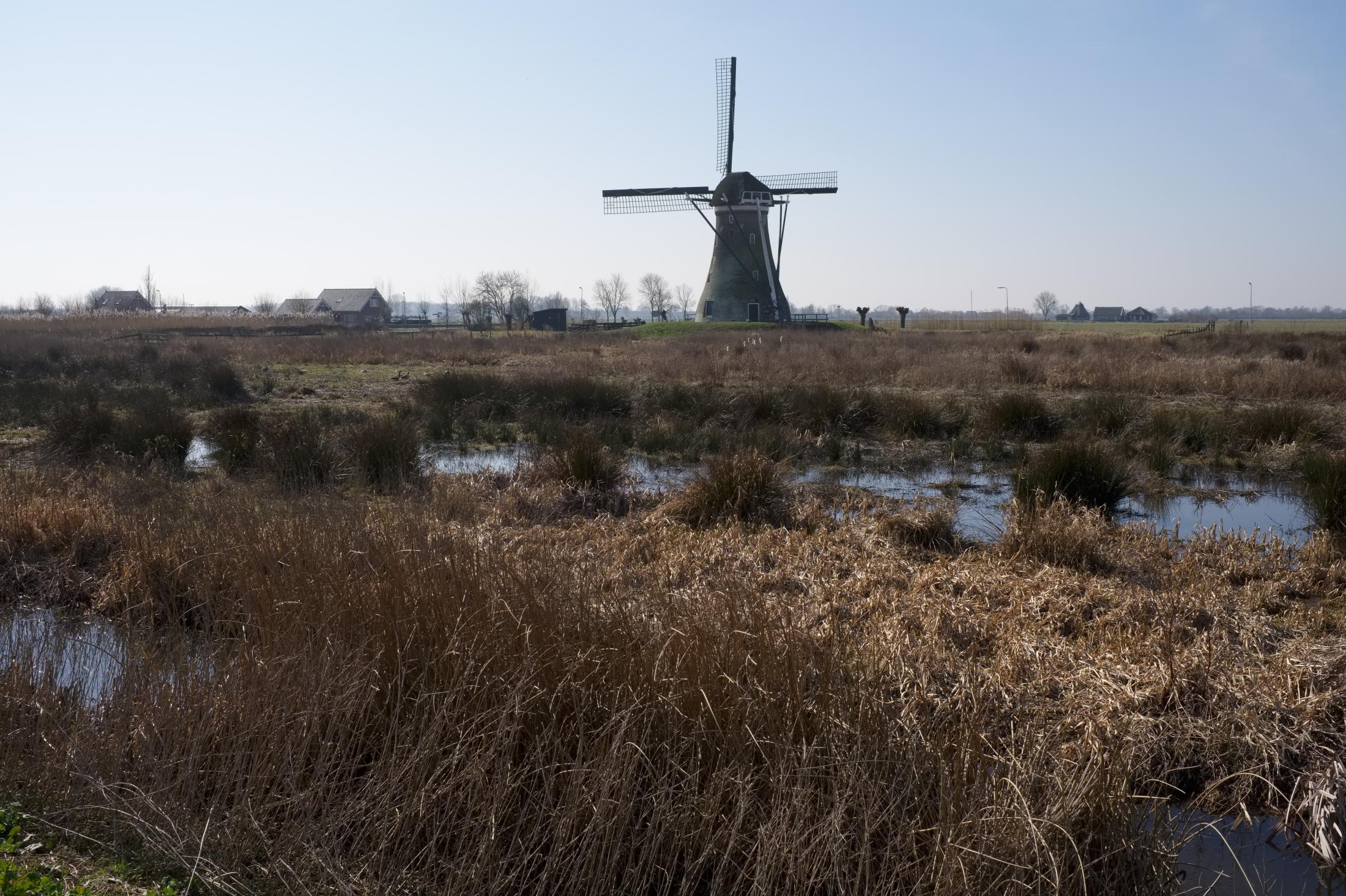 Windmill | Buy this image