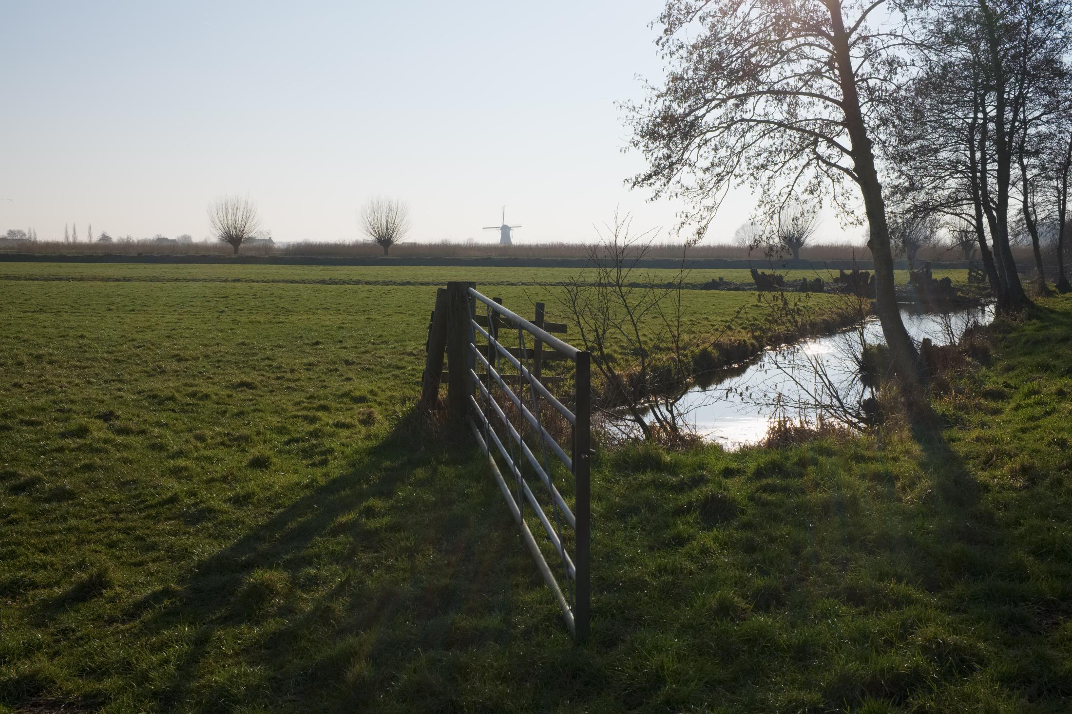 Dutch Polder Land | Buy this image