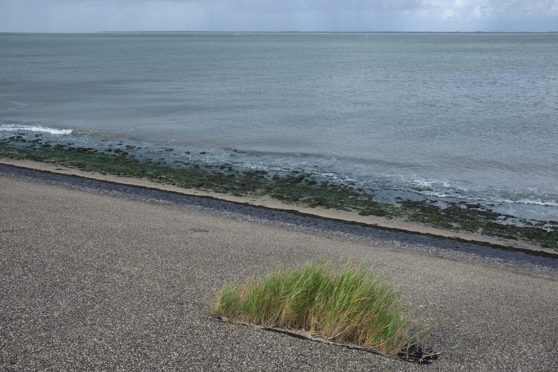 Sea Wall in the Netherlands | Buy this image